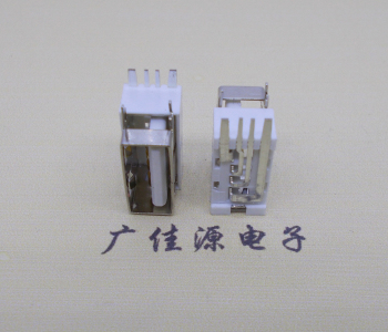 湖南USB侧立式短体10.0尺寸 侧插加宽脚5A大电流插座
