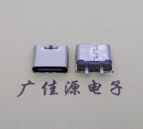 湖南铆合式type c2p母座两脚插板尾部带卡扣