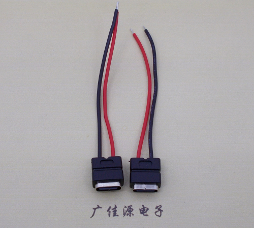 湖南type c2p防水母座焊线式带线注塑成型带接线端子/不带接线端子充电连接器